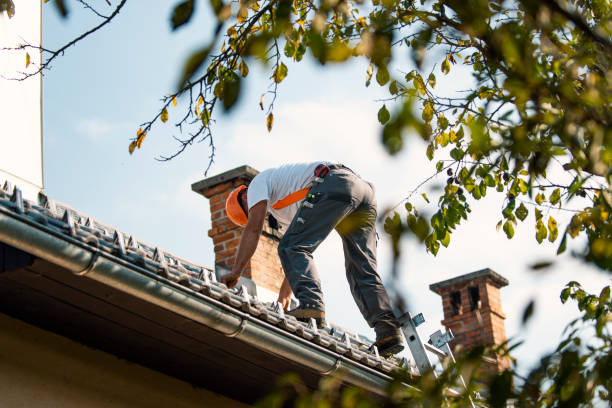 Best Roof Moss and Algae Removal  in Johnson City, KS