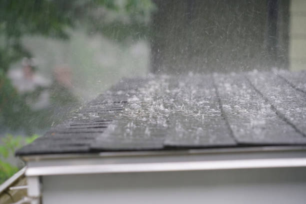 Best Commercial Roofing Services  in Johnson City, KS